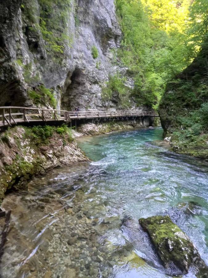 Apartma Marjetica Ii. Blejska Dobrava المظهر الخارجي الصورة