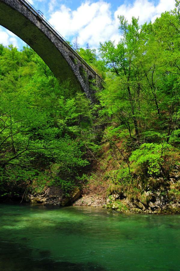 Apartma Marjetica Ii. Blejska Dobrava المظهر الخارجي الصورة