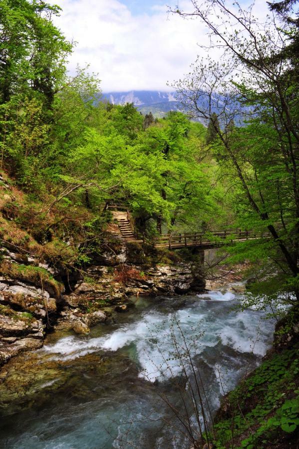Apartma Marjetica Ii. Blejska Dobrava المظهر الخارجي الصورة