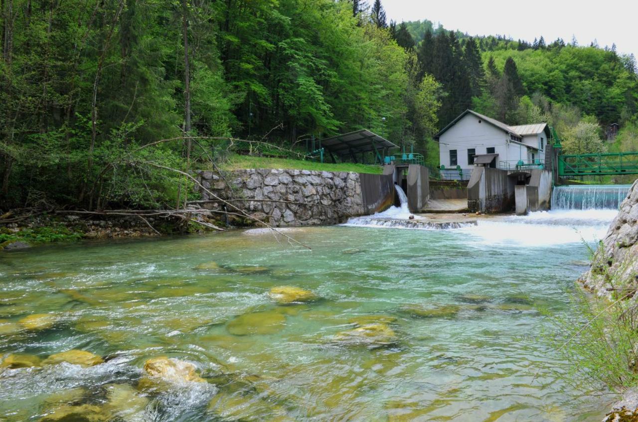 Apartma Marjetica Ii. Blejska Dobrava المظهر الخارجي الصورة