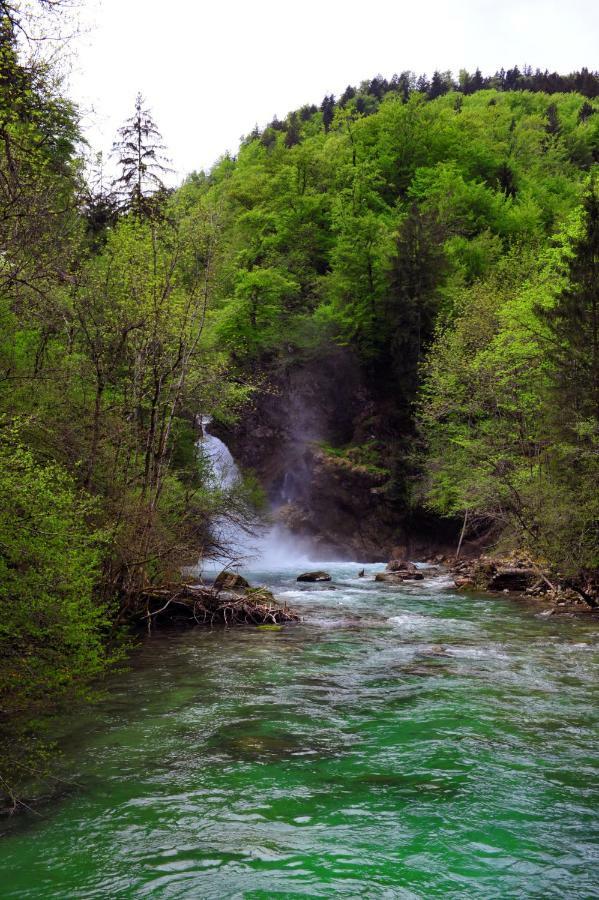 Apartma Marjetica Ii. Blejska Dobrava المظهر الخارجي الصورة